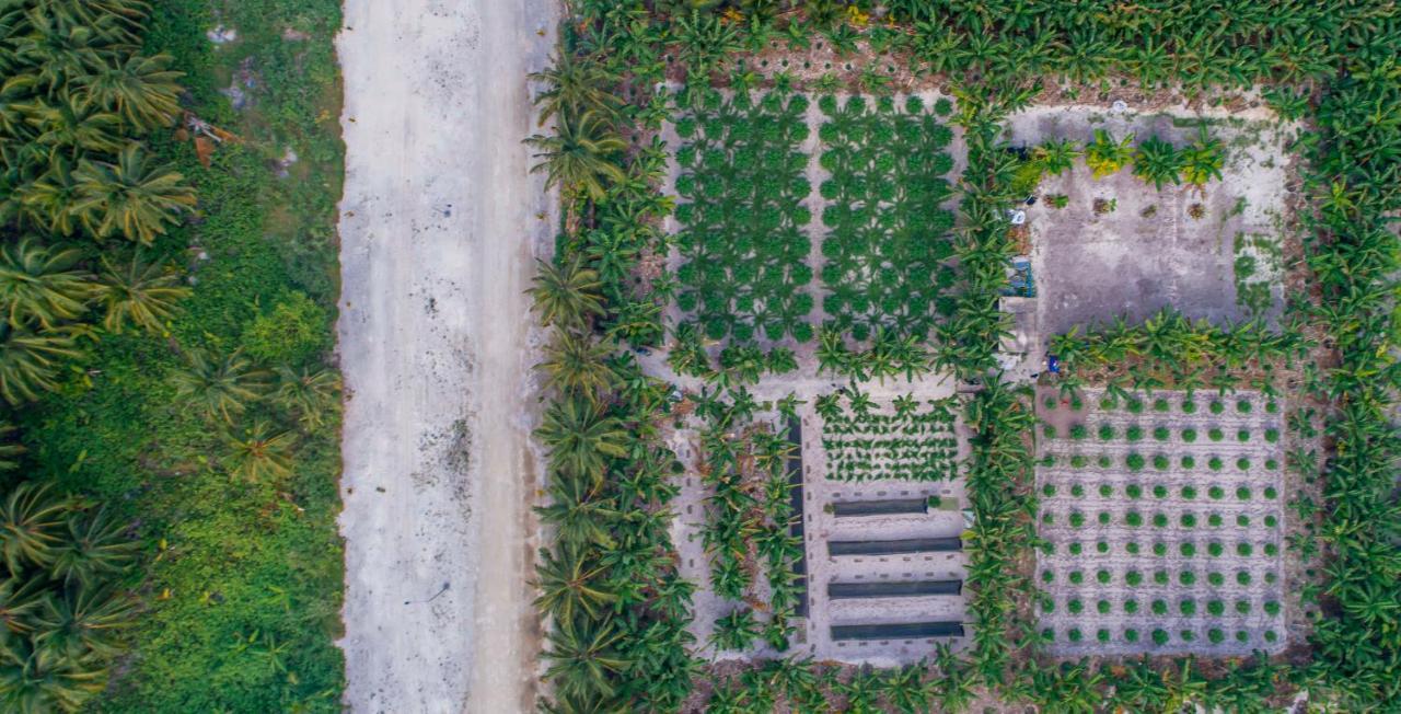 Sunview Residence Kaashidhoo Exteriör bild